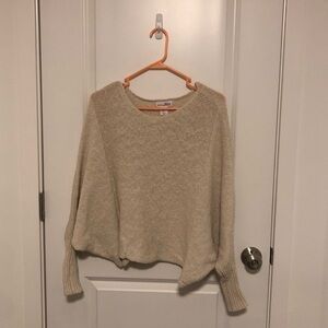 Shrinking Violet Cropped Flying Squirrel Sweater